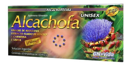 Alcachofa caracteristicas