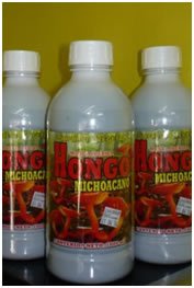 Hongo Michoacano